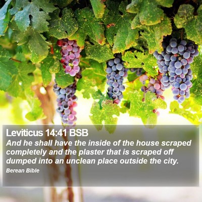 Leviticus 14:41 BSB Bible Verse Image