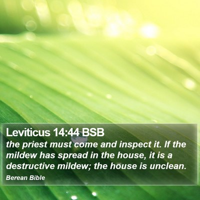Leviticus 14:44 BSB Bible Verse Image