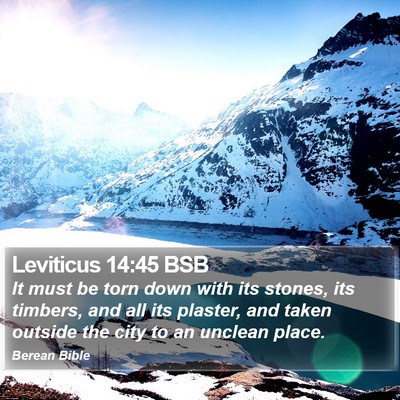 Leviticus 14:45 BSB Bible Verse Image