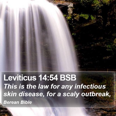 Leviticus 14:54 BSB Bible Verse Image