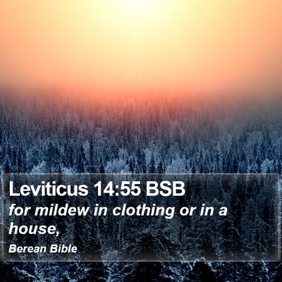 Leviticus 14:55 BSB Bible Verse Image