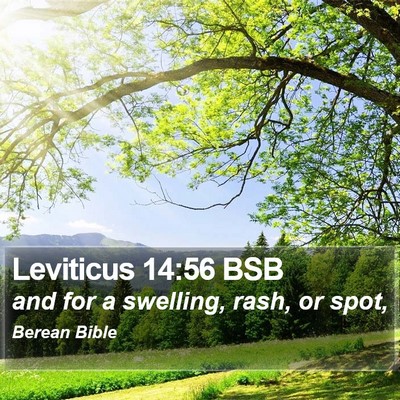 Leviticus 14:56 BSB Bible Verse Image