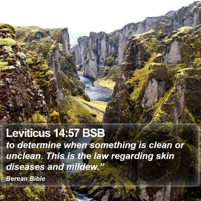 Leviticus 14:57 BSB Bible Verse Image