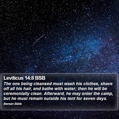 Leviticus 14:8 BSB Bible Verse Image
