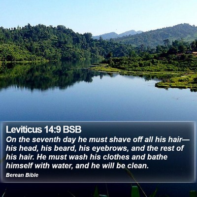 Leviticus 14:9 BSB Bible Verse Image