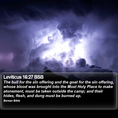 Leviticus 16:27 BSB Bible Verse Image