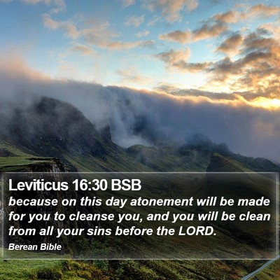 Leviticus 16:30 BSB Bible Verse Image