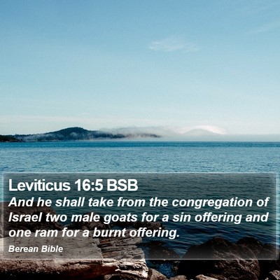Leviticus 16:5 BSB Bible Verse Image