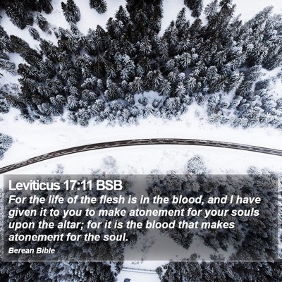 Leviticus 17:11 BSB Bible Verse Image