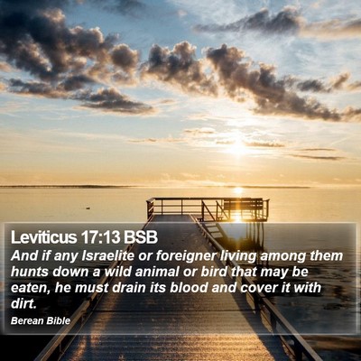 Leviticus 17:13 BSB Bible Verse Image