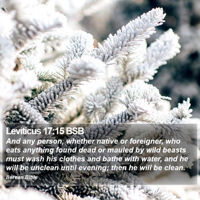 Leviticus 17:15 BSB Bible Verse Image