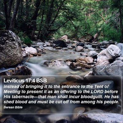 Leviticus 17:4 BSB Bible Verse Image