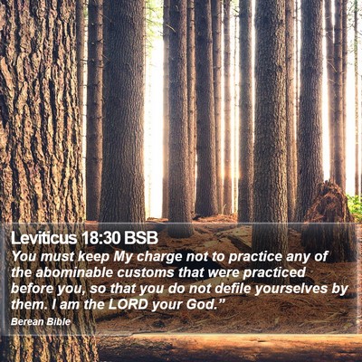 Leviticus 18:30 BSB Bible Verse Image