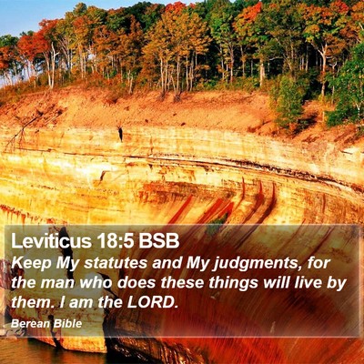 Leviticus 18:5 BSB Bible Verse Image