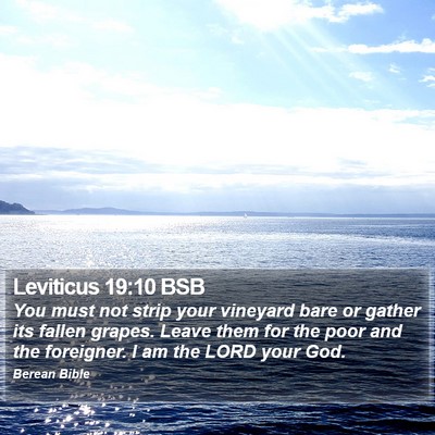Leviticus 19:10 BSB Bible Verse Image