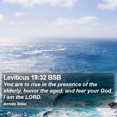 Leviticus 19:32 BSB Bible Verse Image