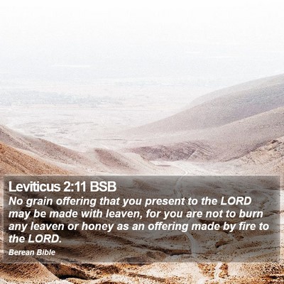 Leviticus 2:11 BSB Bible Verse Image