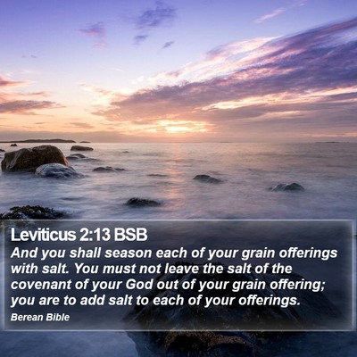Leviticus 2:13 BSB Bible Verse Image