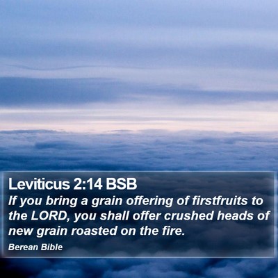 Leviticus 2:14 BSB Bible Verse Image