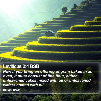 Leviticus 2:4 BSB Bible Verse Image
