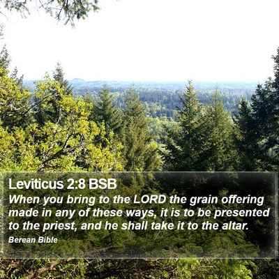 Leviticus 2:8 BSB Bible Verse Image