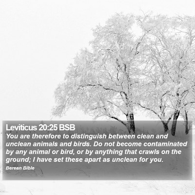 Leviticus 20:25 BSB Bible Verse Image