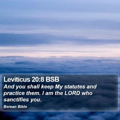 Leviticus 20:8 BSB Bible Verse Image