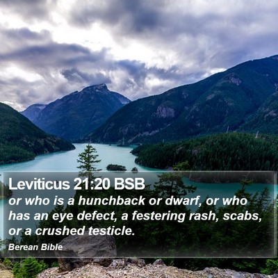 Leviticus 21:20 BSB Bible Verse Image