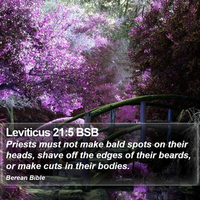 Leviticus 21:5 BSB Bible Verse Image