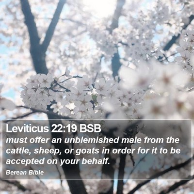 Leviticus 22:19 BSB Bible Verse Image