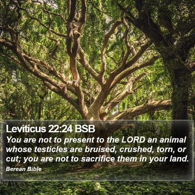 Leviticus 22:24 BSB Bible Verse Image