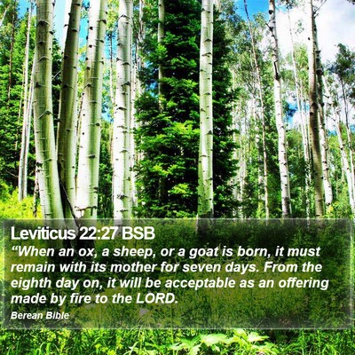 Leviticus 22:27 BSB Bible Verse Image