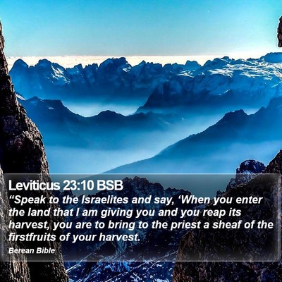 Leviticus 23:10 BSB Bible Verse Image