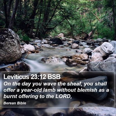 Leviticus 23:12 BSB Bible Verse Image