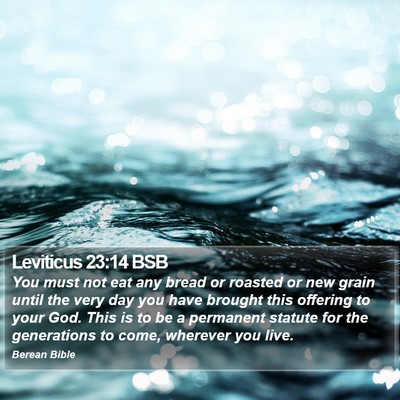 Leviticus 23:14 BSB Bible Verse Image