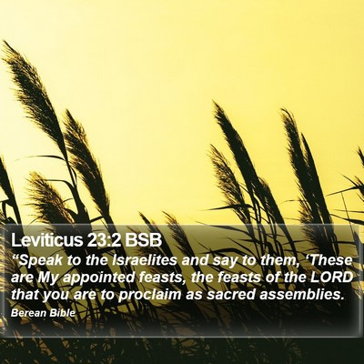 Leviticus 23:2 BSB Bible Verse Image