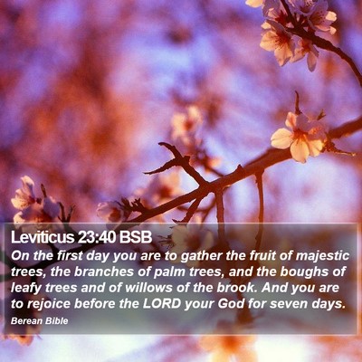 Leviticus 23:40 BSB Bible Verse Image