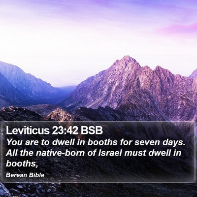 Leviticus 23:42 BSB Bible Verse Image