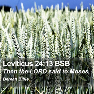 Leviticus 24:13 BSB Bible Verse Image