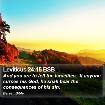 Leviticus 24:15 BSB Bible Verse Image
