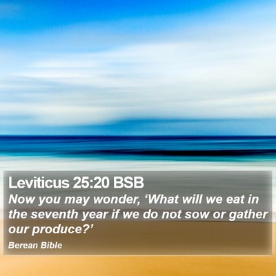 Leviticus 25:20 BSB Bible Verse Image