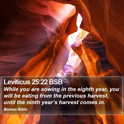 Leviticus 25:22 BSB Bible Verse Image