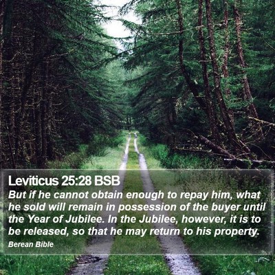 Leviticus 25:28 BSB Bible Verse Image