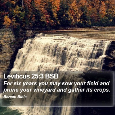 Leviticus 25:3 BSB Bible Verse Image
