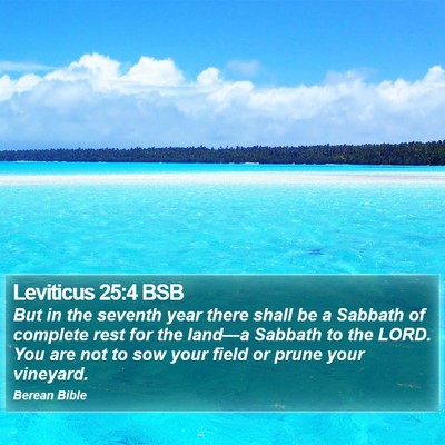 Leviticus 25:4 BSB Bible Verse Image
