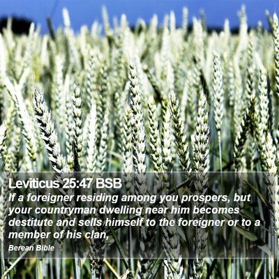 Leviticus 25:47 BSB Bible Verse Image