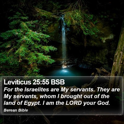 Leviticus 25:55 BSB Bible Verse Image