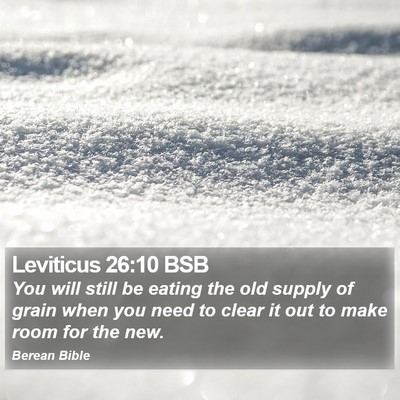 Leviticus 26:10 BSB Bible Verse Image