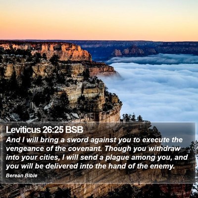 Leviticus 26:25 BSB Bible Verse Image