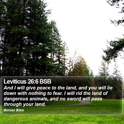 Leviticus 26:6 BSB Bible Verse Image